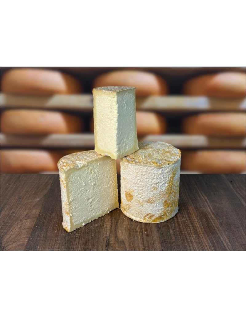 Persillé de Tignes (Tignard) — Fromage rare de chèvre de Savoie | Maison Mercier